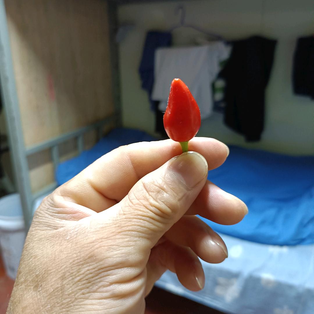 忘掉过去重新开始