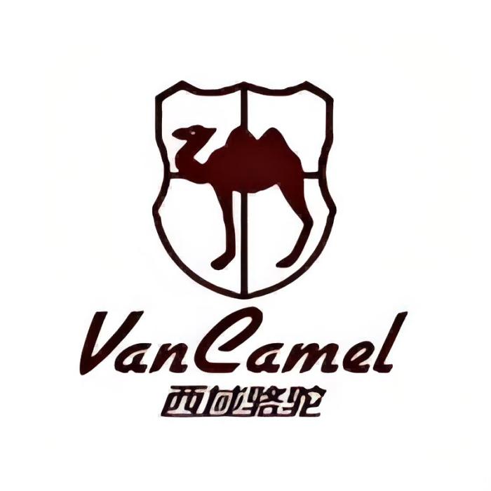 西域骆驼VANCAMEL富裕通男鞋专卖店