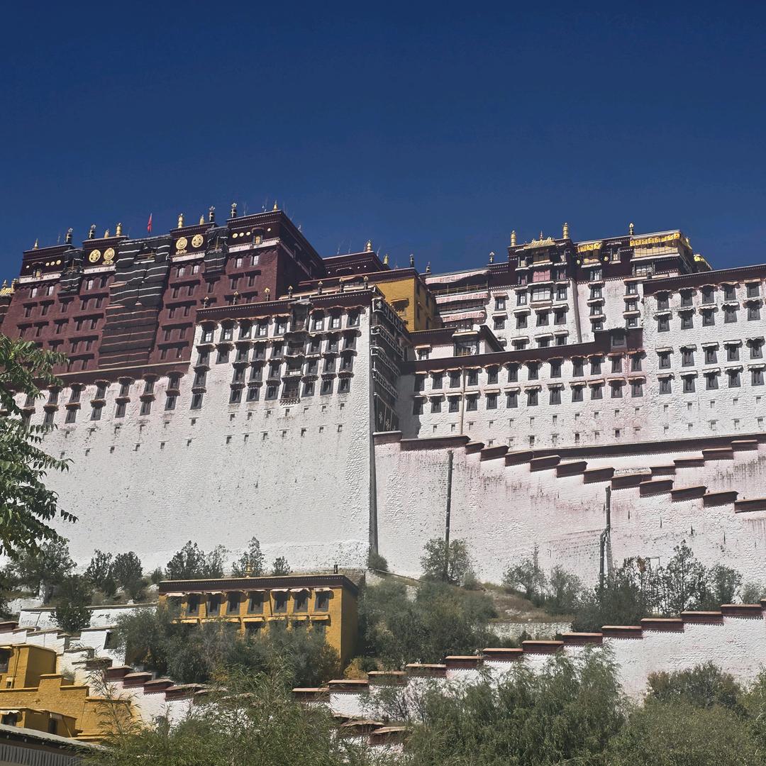 菜就多练🦵🏽