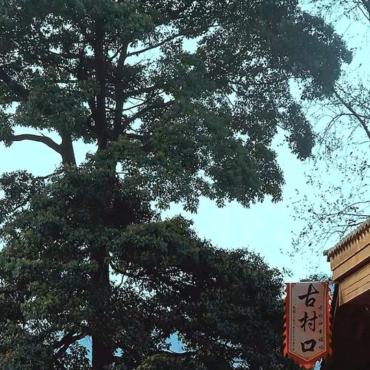 时光清浅