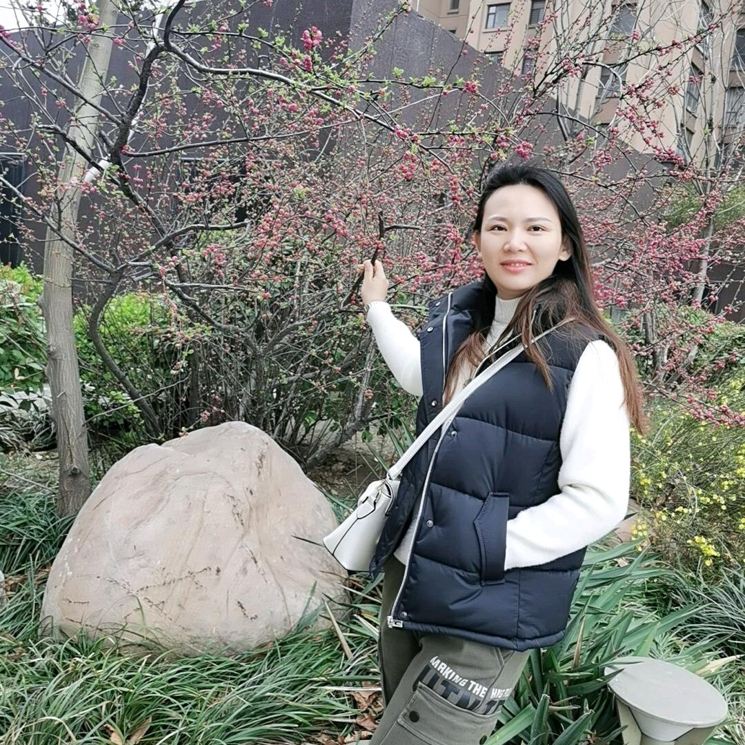 傻傻分不清楚