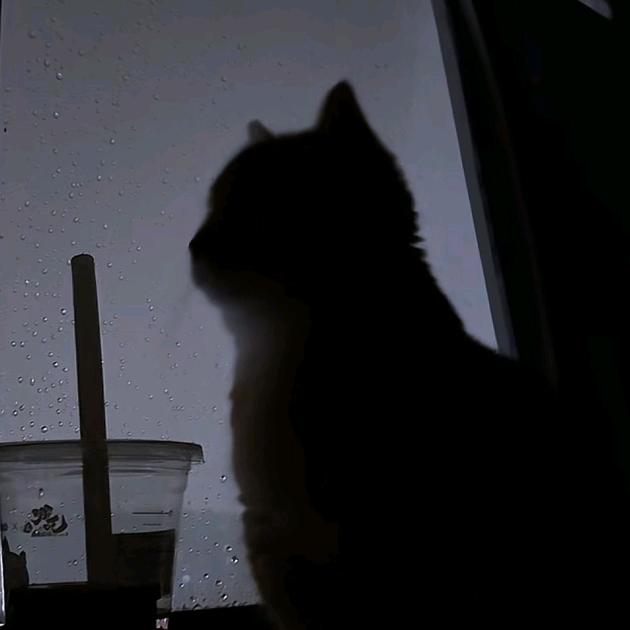 眠趣衣橱