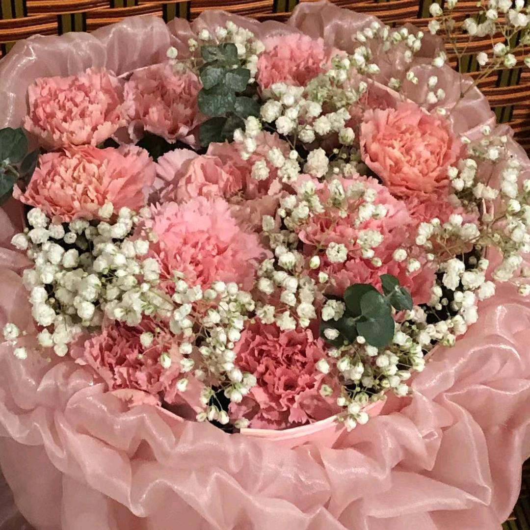 珍惜，现在的，你🌵