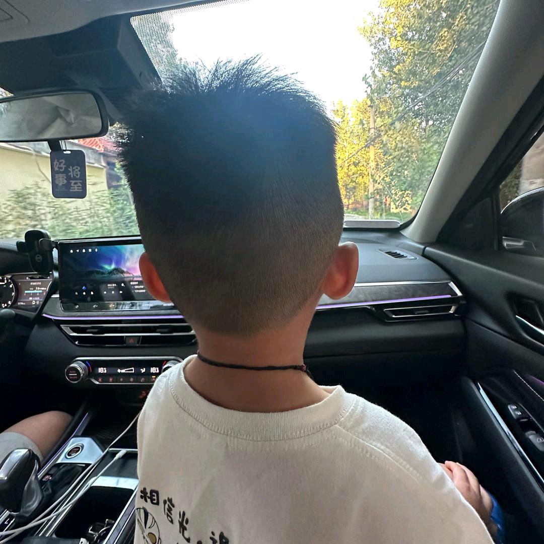 米乐很乖～ᰔᩚ