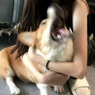 欣彤