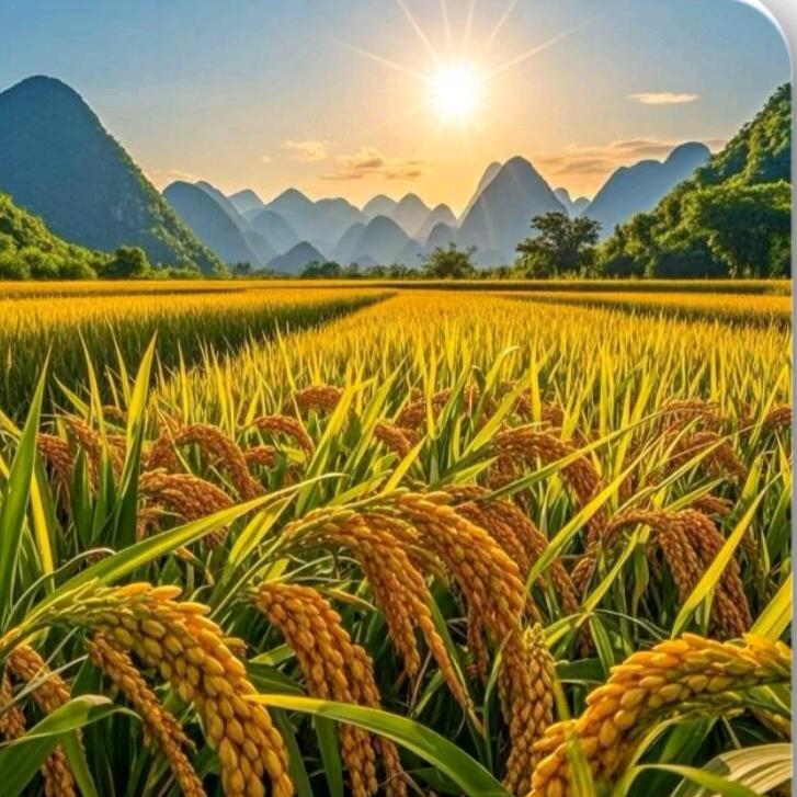 穗穗平安