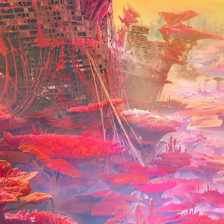 随风的浪