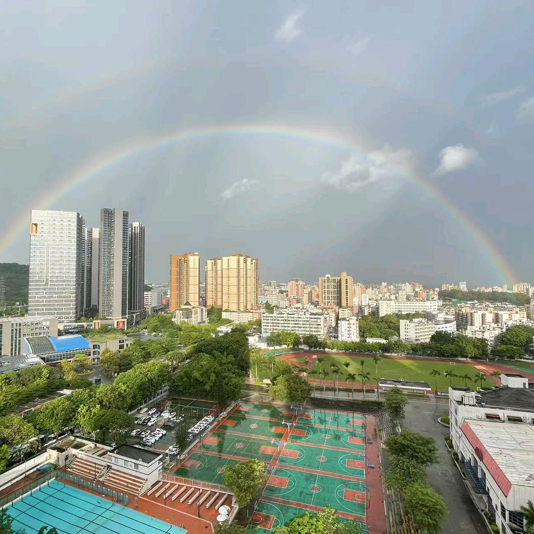 米虫鸭