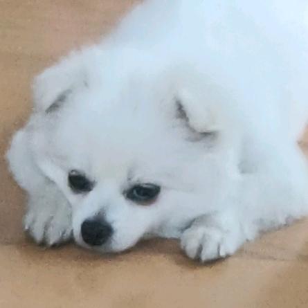 坏小孩