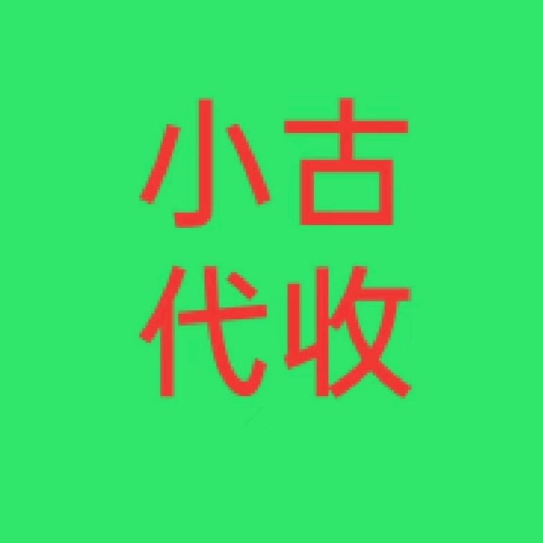 聊城小古代收