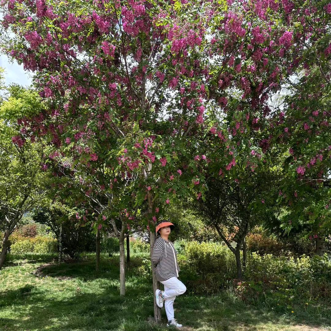 🌷🌷顺其自然🌹🌹