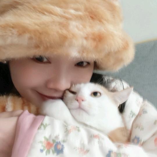 兔子水手