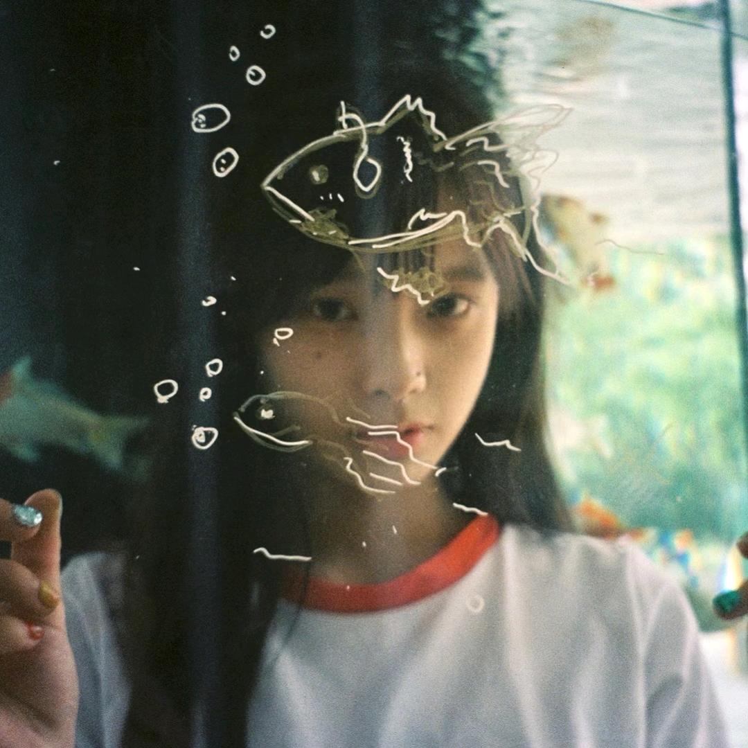 吃鱼不吃葱