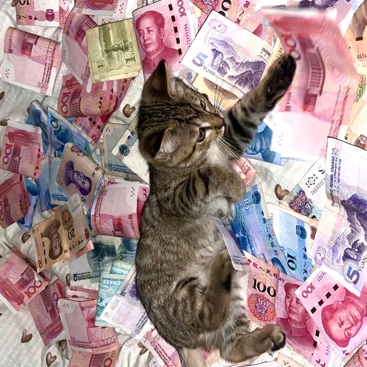 💰