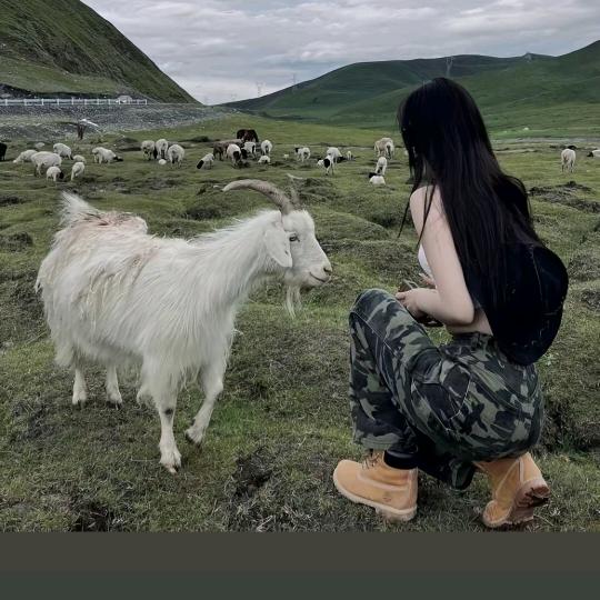 忠聃商贸臻选阁