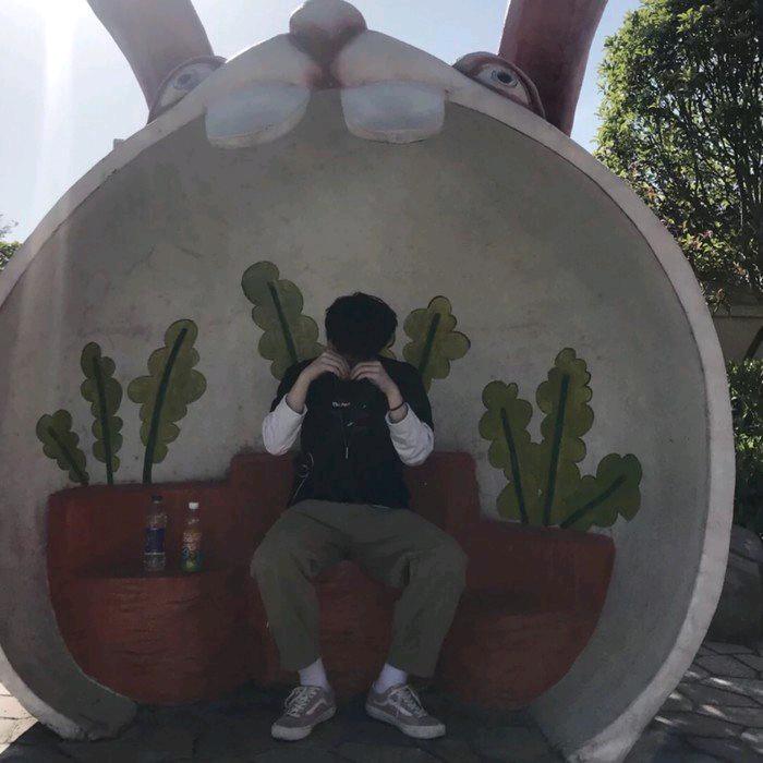 风华正茂