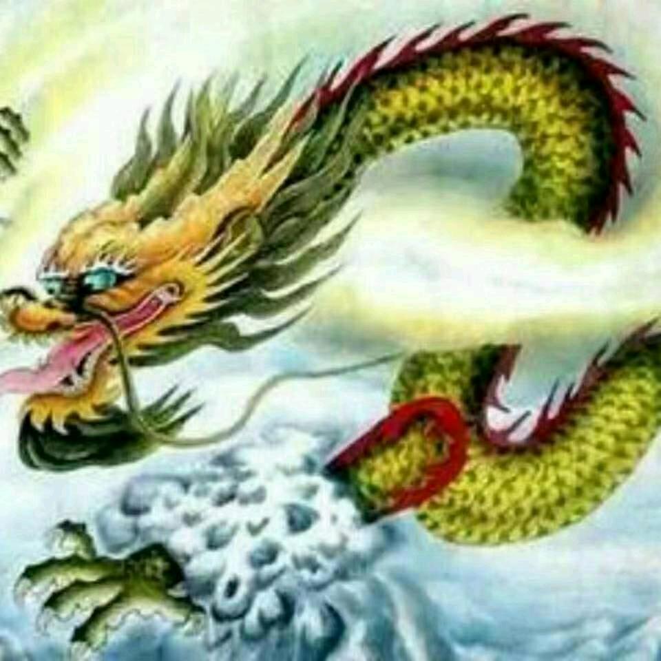 河南龙哥