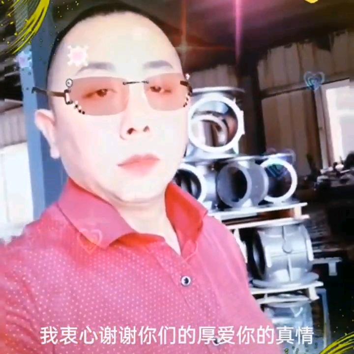 凤流才子