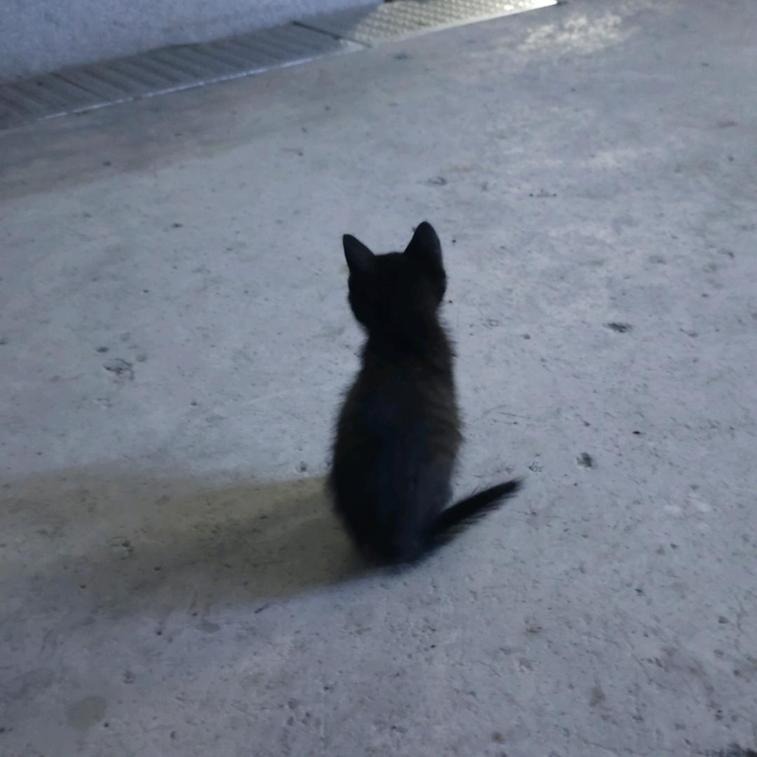 绝版郝 ಣ