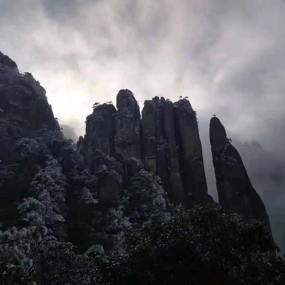 清静散人