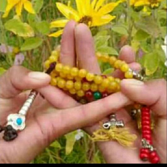 罗加次乍🌻🌻🌻🌻🌻🌻🌻🌻