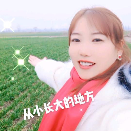 河南花姐#爱生活#爱美食#爱面食🫰🫰