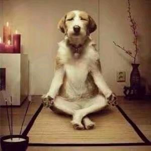 渐渐消失的影子