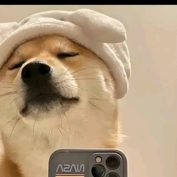 新的开始