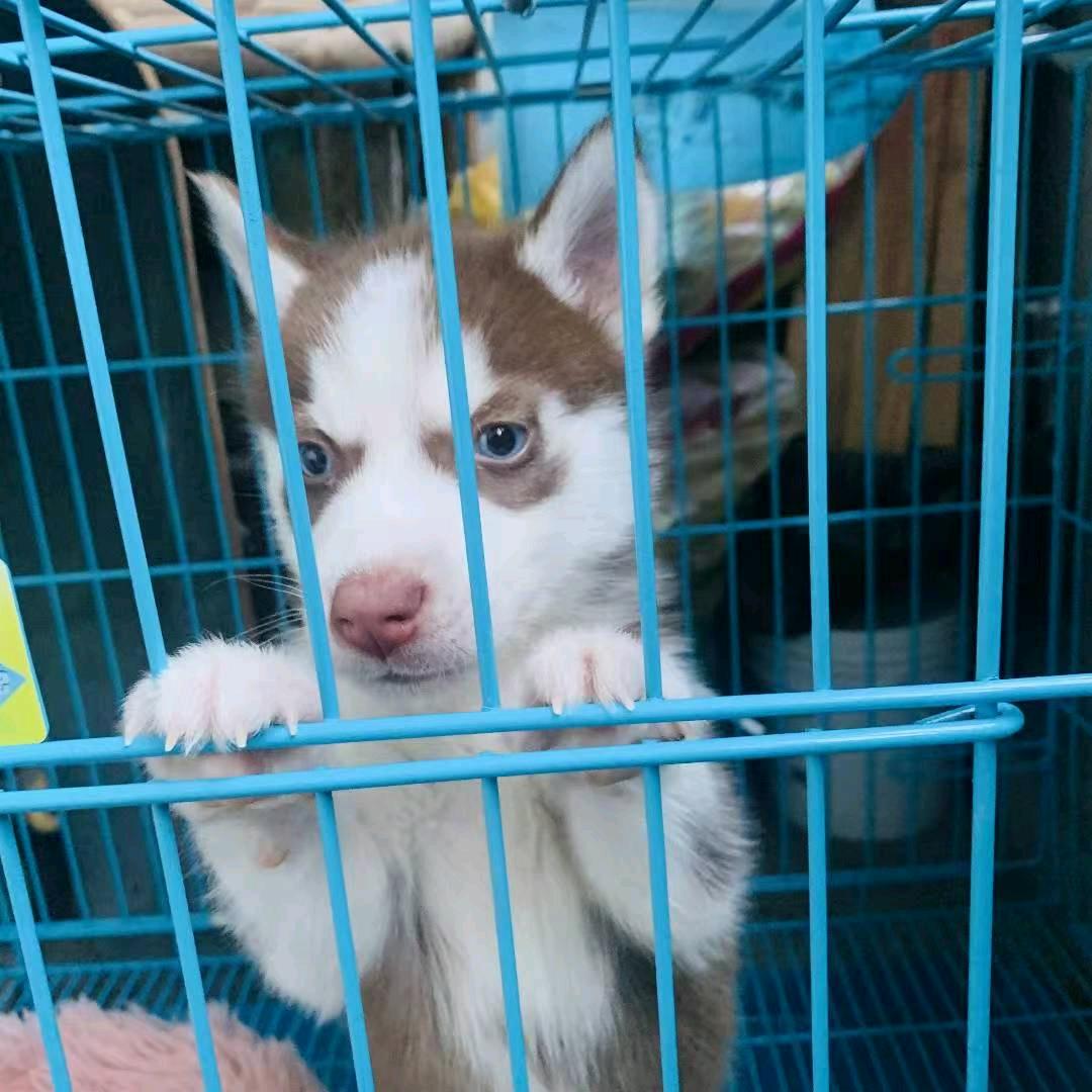 念頭通達