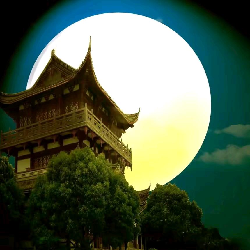 ﹏🍃吥惪🍂﹏