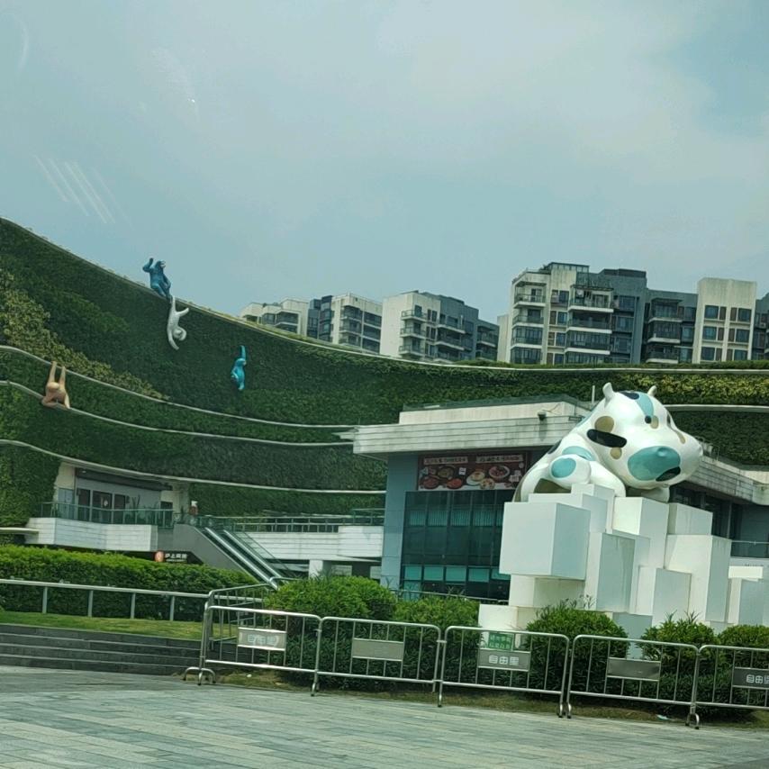 静心