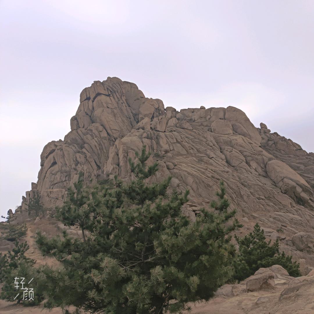 🐉我亦暖心🐉