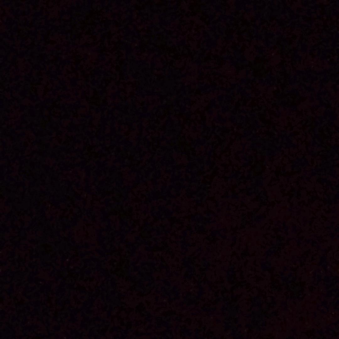 825858805