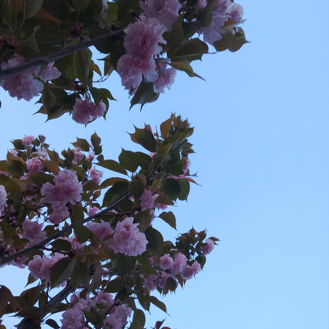 *^_^*幸福其实很简单