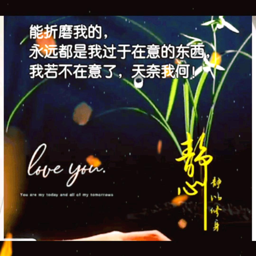 有缘再见