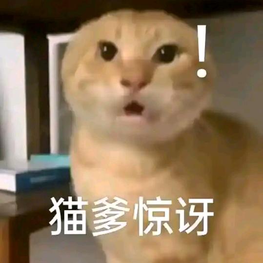 耄尊至耋