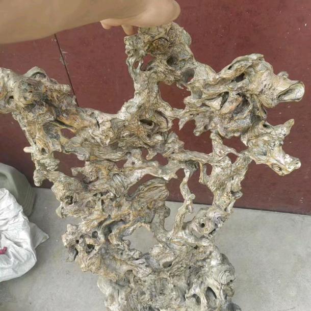 何处惹尘埃