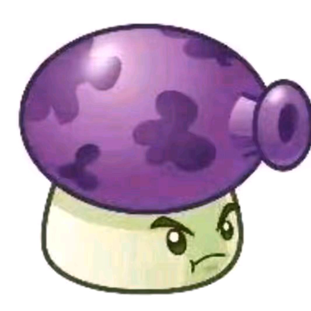 🟣 🟣 🟣 🟣 🟣 🟣