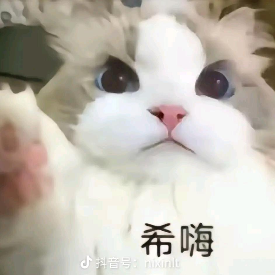 木易
