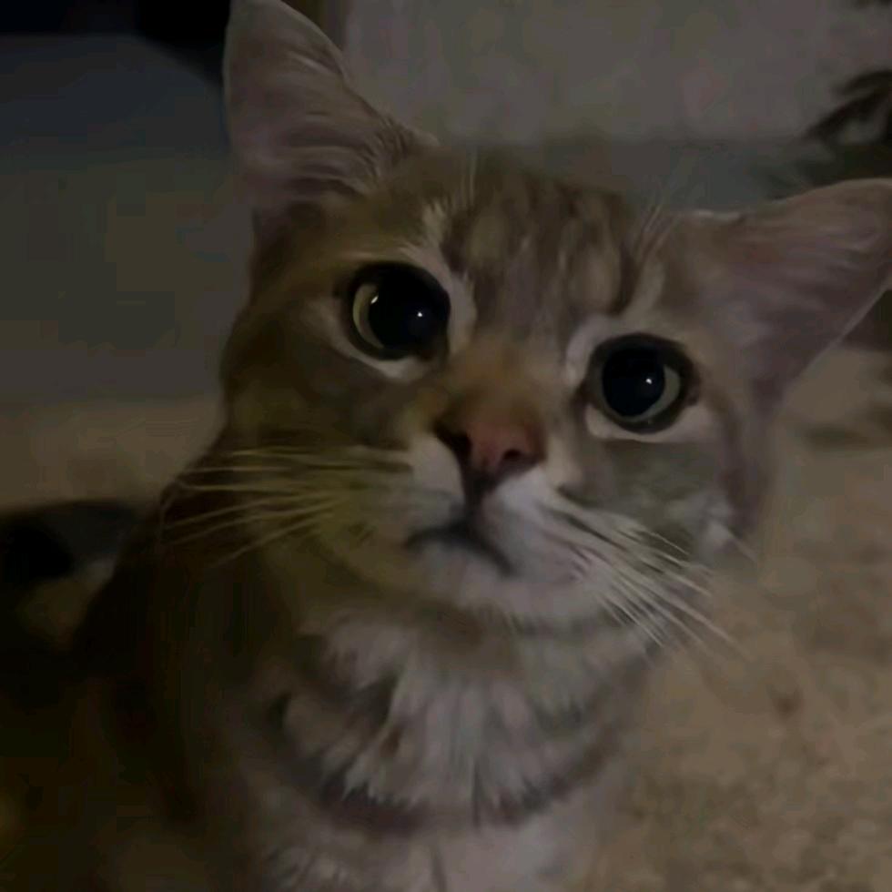 慢慢喜欢你。