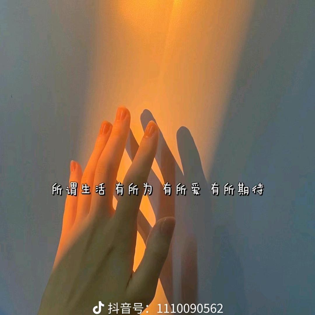 ❤️洋洋❤️
