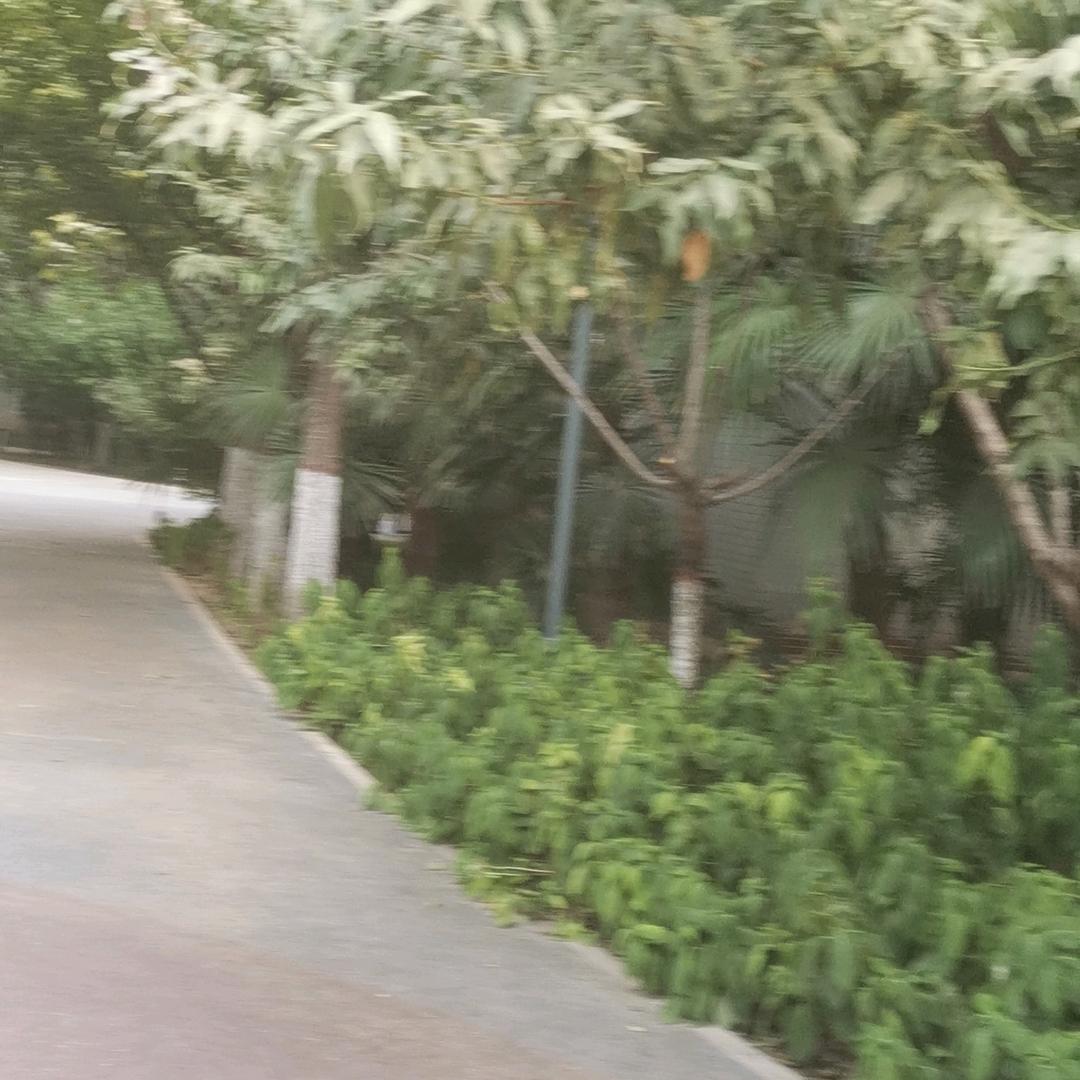 时来運转