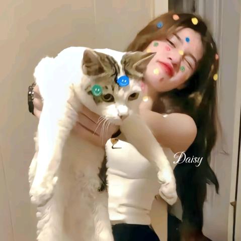 唯见清风🐇