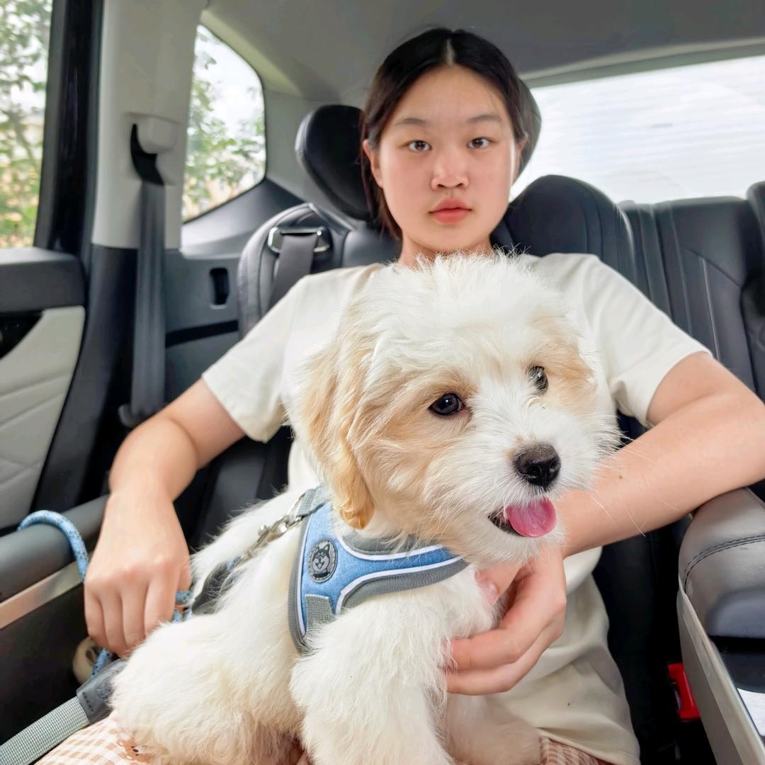 Cʕ·͡˔·Ɂ一粒沙ღ᭄H