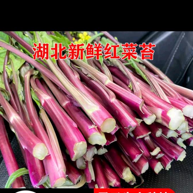 火龙蔬菜源