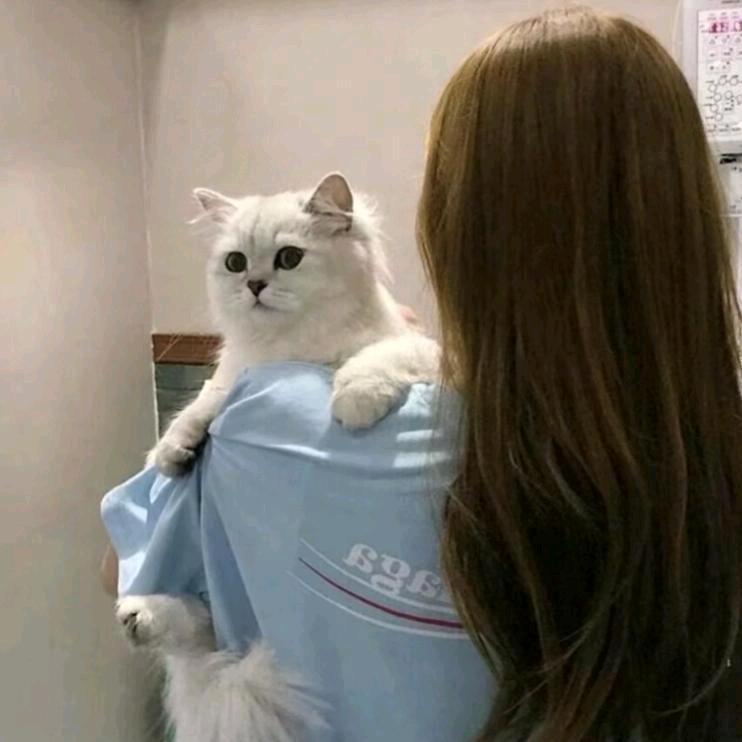 苗苗🍀