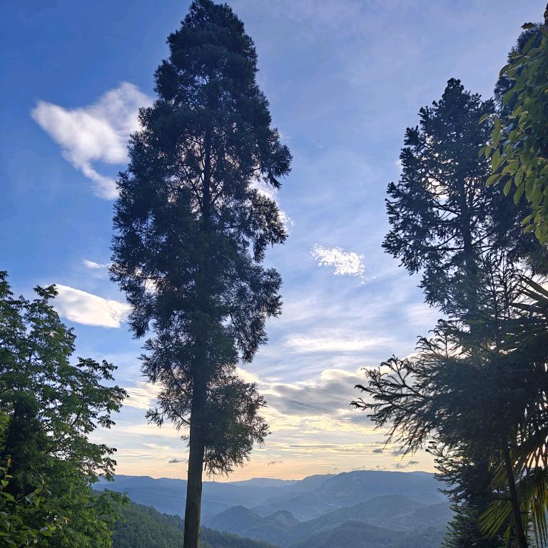 曲靖阿野