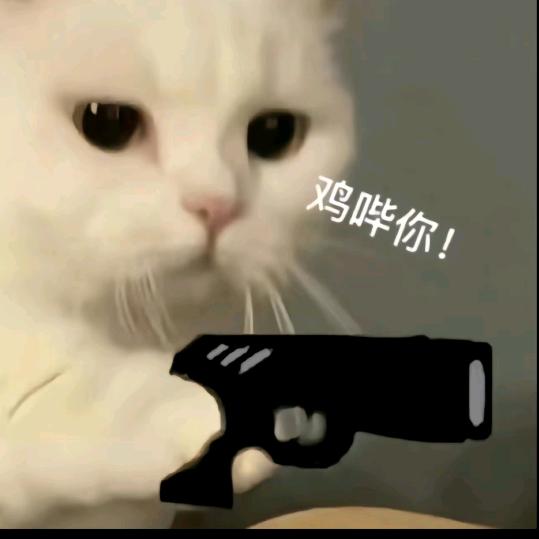 抹茶七七
