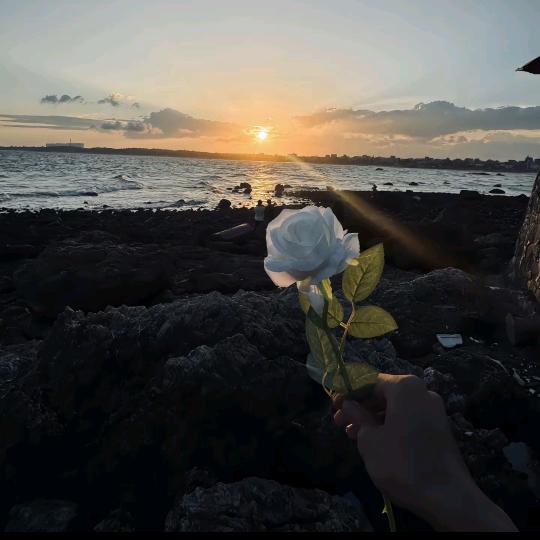 湖北阮如意