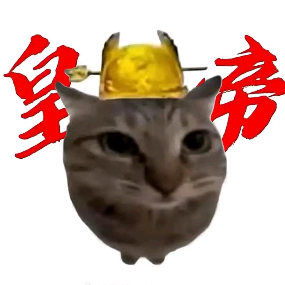 喵喵酱